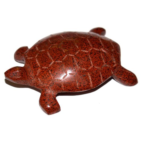 Analcimolite turtle
