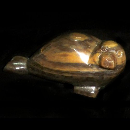 Petrified wood seal