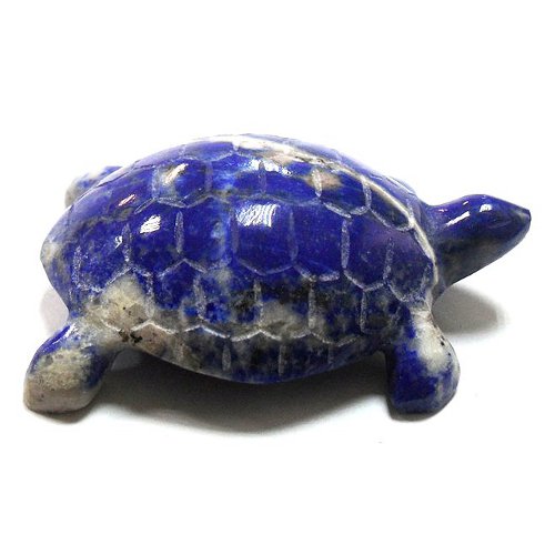 Lapis lazuli turtle
