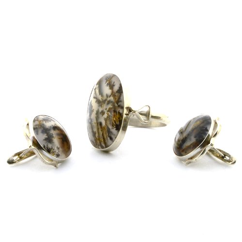 Dendritic agate ring and earrings