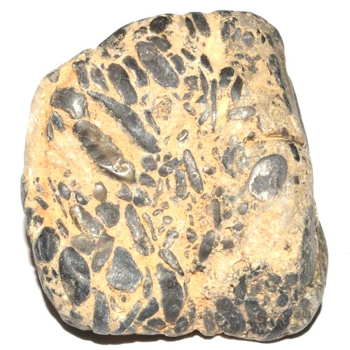 Oncolite specimen Oncolite specimen