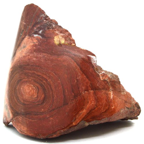 Stromatolite specimen