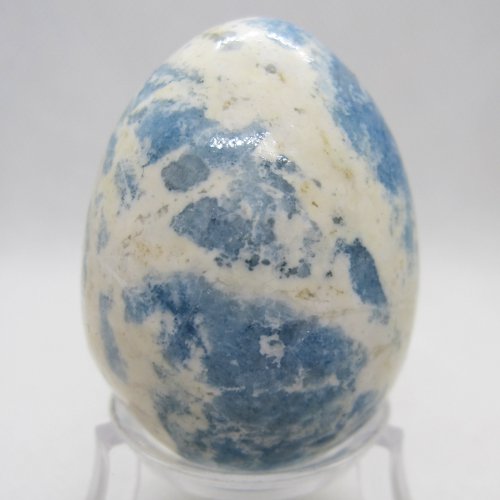 Violane egg
