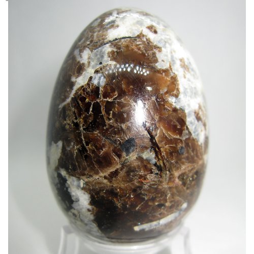 Georgbarsanovite egg