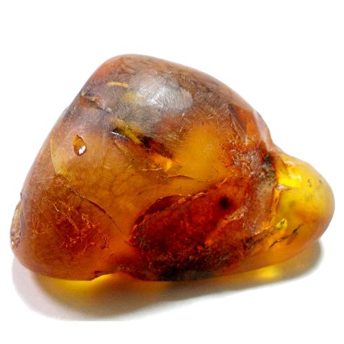 Amber specimen