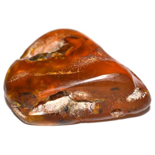 Amber specimen