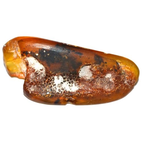 Amber specimen