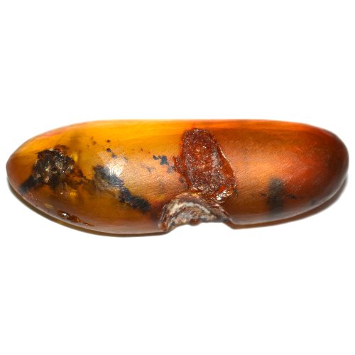 Amber specimen