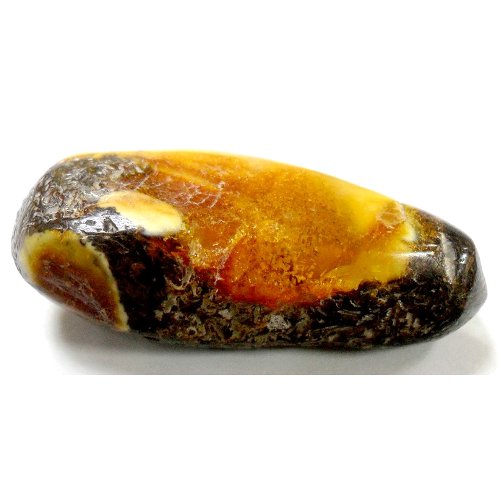 Amber specimen