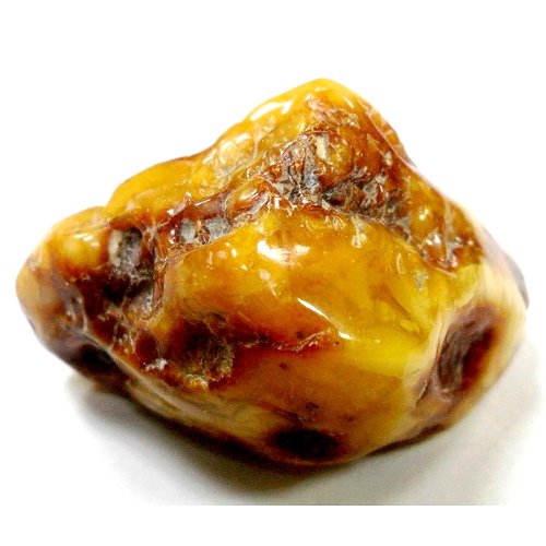 Amber specimen