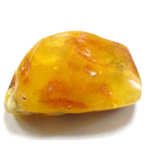Amber specimen