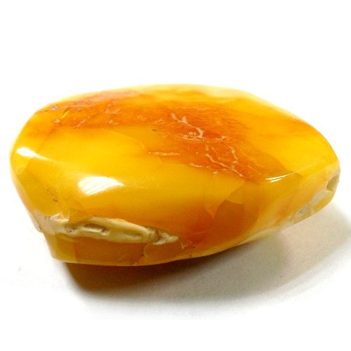 Amber specimen