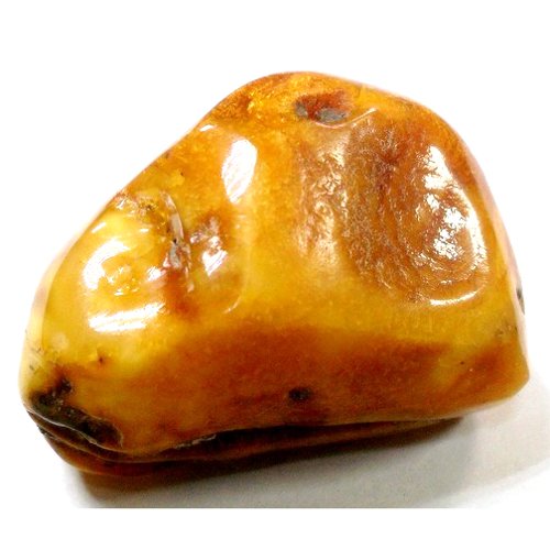 Amber specimen