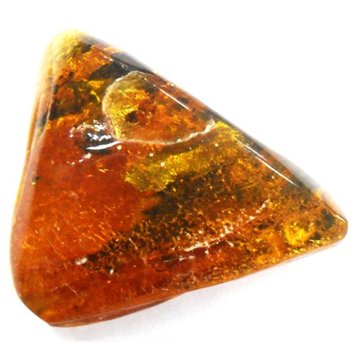 Amber specimen