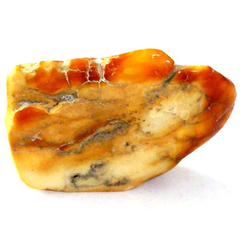 Amber specimen