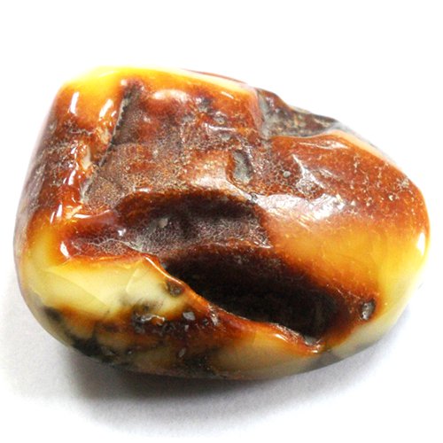 Amber specimen