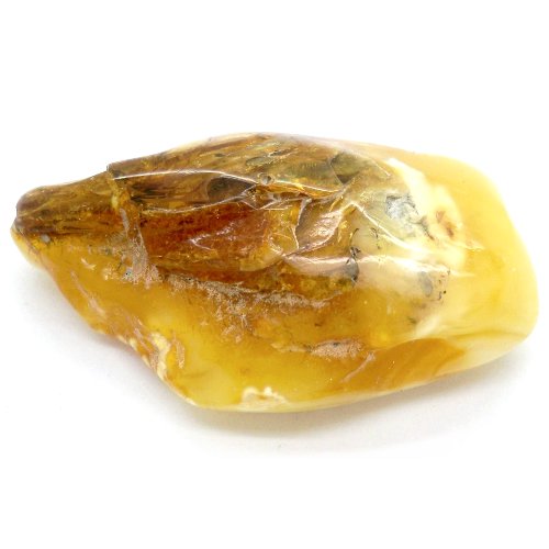 Amber specimen