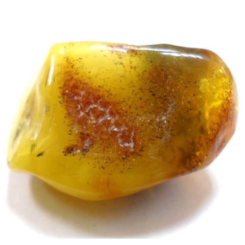 Amber specimen