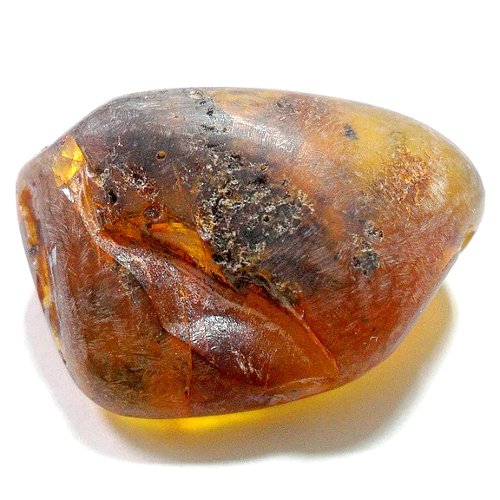 Amber specimen