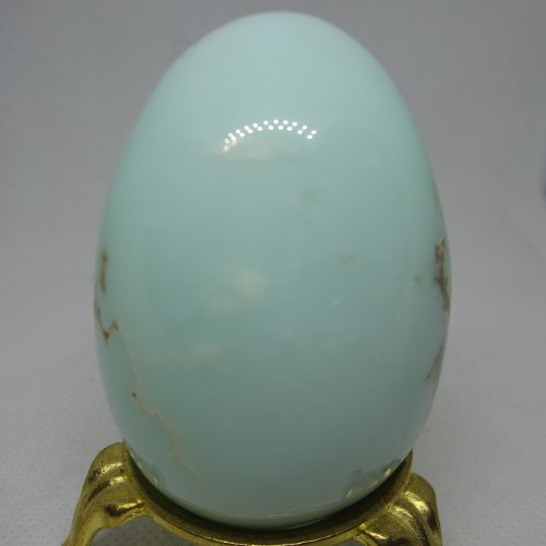 Chrysopal egg Chrysopal egg