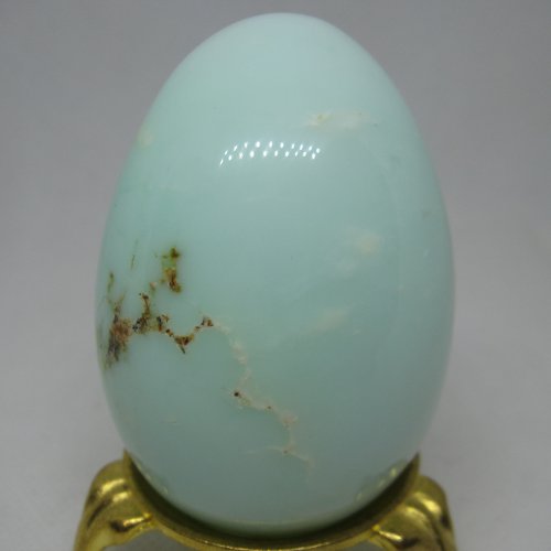 Chrysopal egg Chrysopal egg