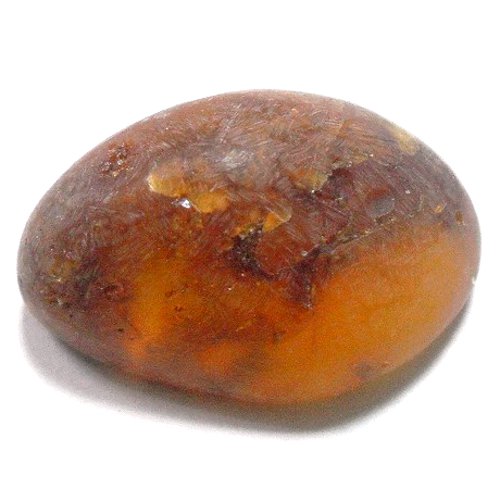 Amber specimen