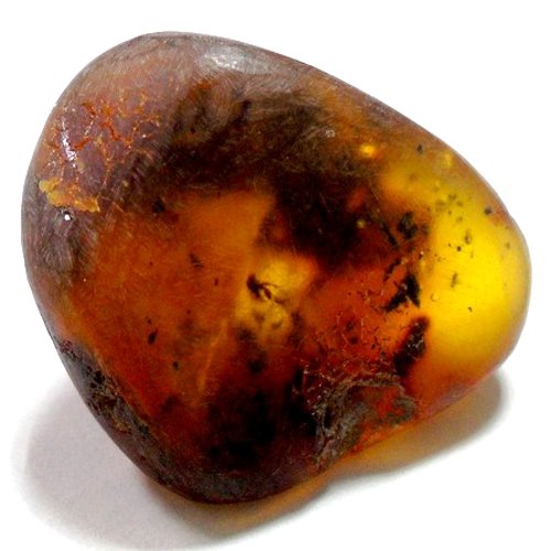Amber specimen