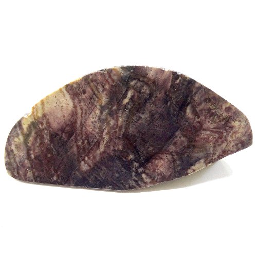 Petrified wood specimen