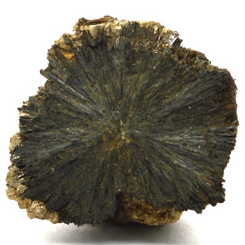 Aegirine spherulite