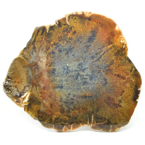 Dendritic agate slice