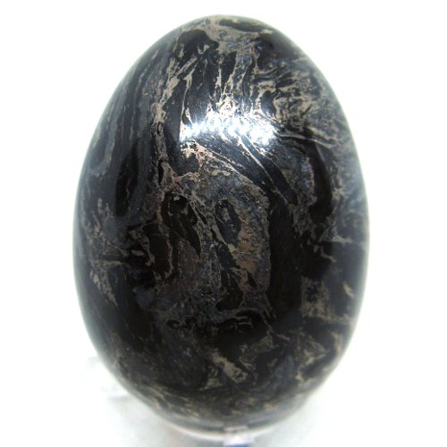Phyllite egg