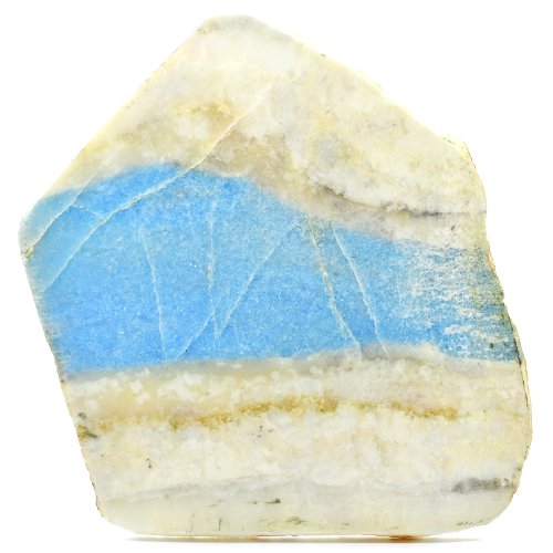 Violane specimen