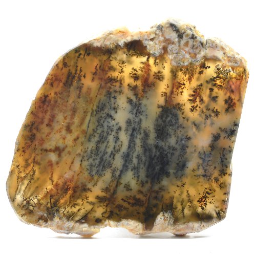 Dendritic agate slice