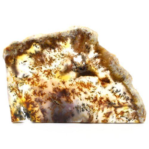 Dendritic agate slice