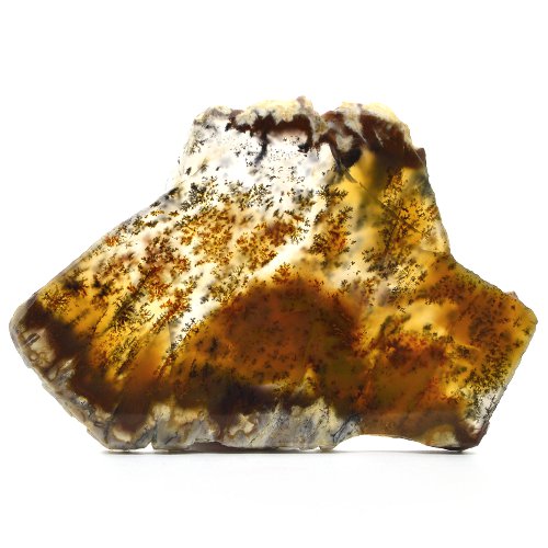 Dendritic agate slice