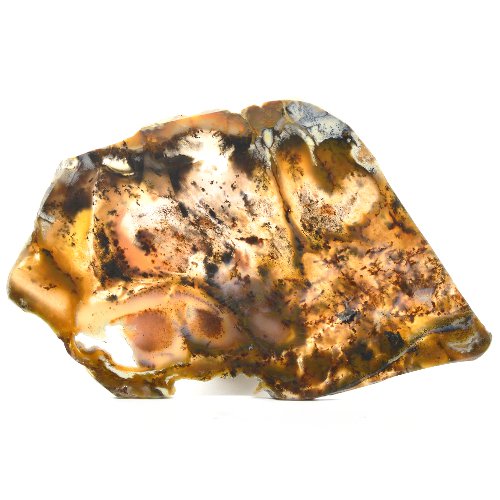 Dendritic agate slice