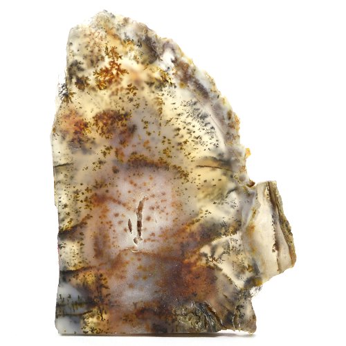 Dendritic agate slice