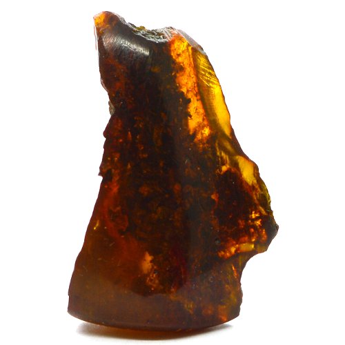 Amber specimen