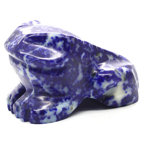 Lapis lazuli frog